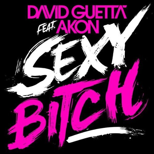 David Guetta feat Akon Sexy Bitch cover