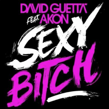 David Guetta feat Akon Sexy Bitch single